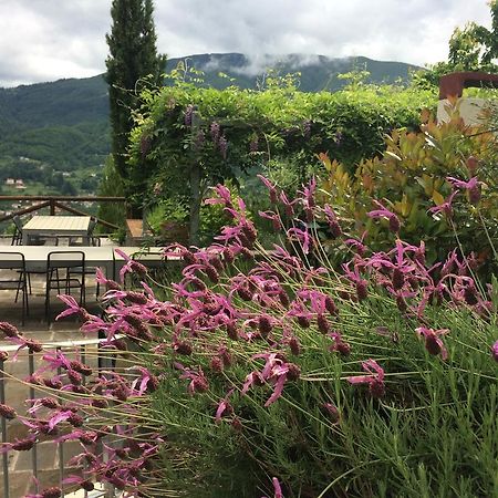 Agriturismo Braccicorti 호텔 피에베포시아나 외부 사진