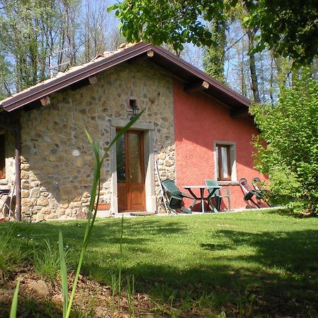 Agriturismo Braccicorti 호텔 피에베포시아나 외부 사진