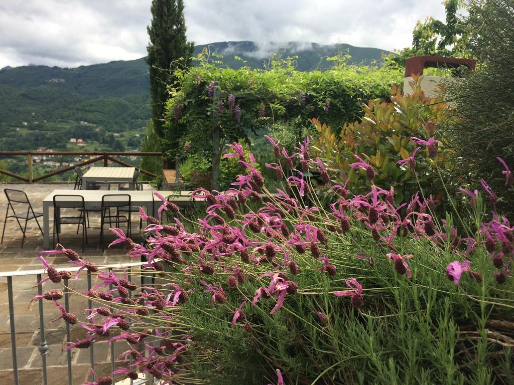 Agriturismo Braccicorti 호텔 피에베포시아나 외부 사진