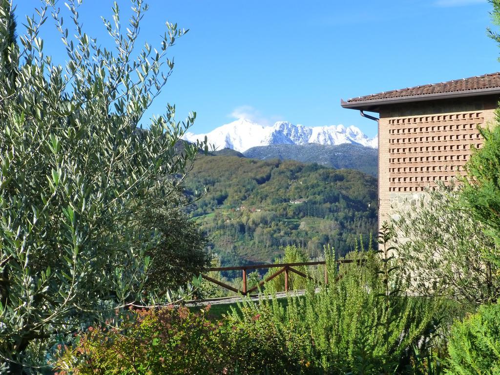 Agriturismo Braccicorti 호텔 피에베포시아나 외부 사진