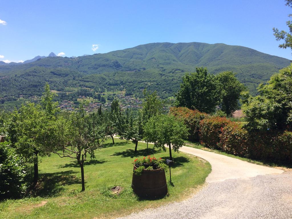 Agriturismo Braccicorti 호텔 피에베포시아나 외부 사진