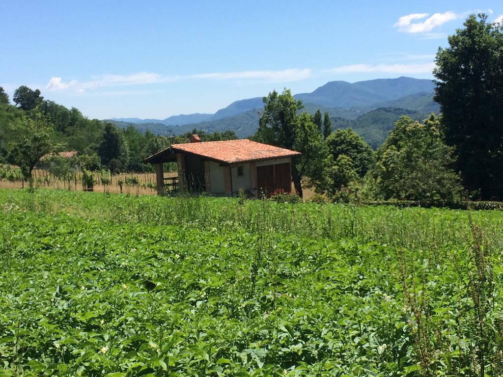 Agriturismo Braccicorti 호텔 피에베포시아나 외부 사진