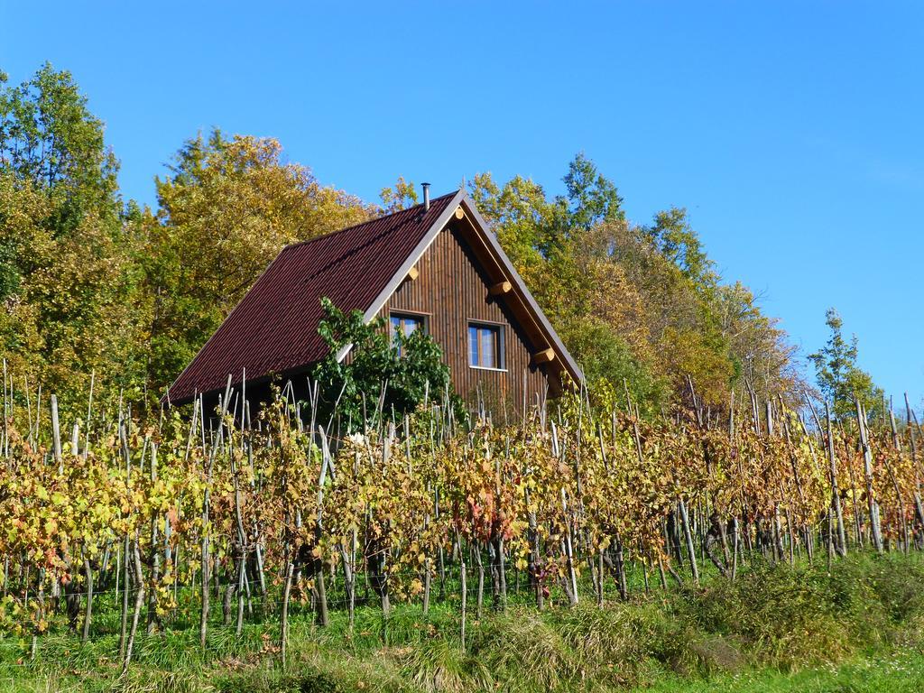 Agriturismo Braccicorti 호텔 피에베포시아나 외부 사진