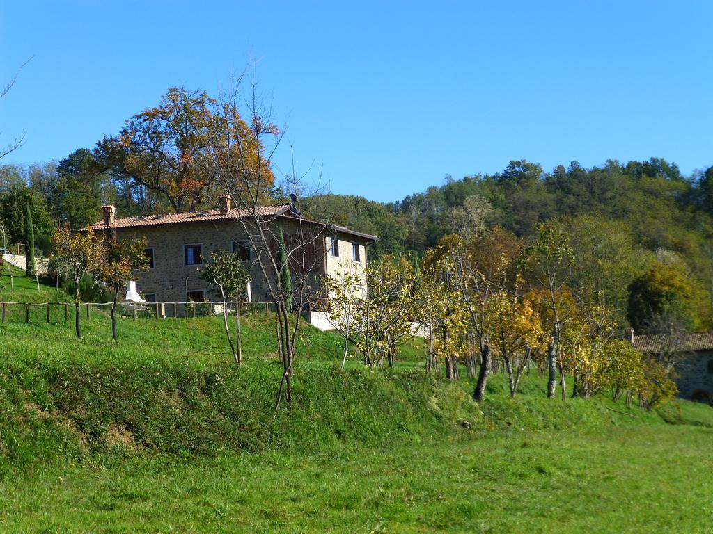 Agriturismo Braccicorti 호텔 피에베포시아나 외부 사진